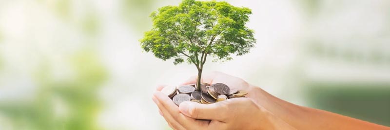 Assessment di Sostenibilità: il punto di partenza per una strategia esg credibile e misurabile
